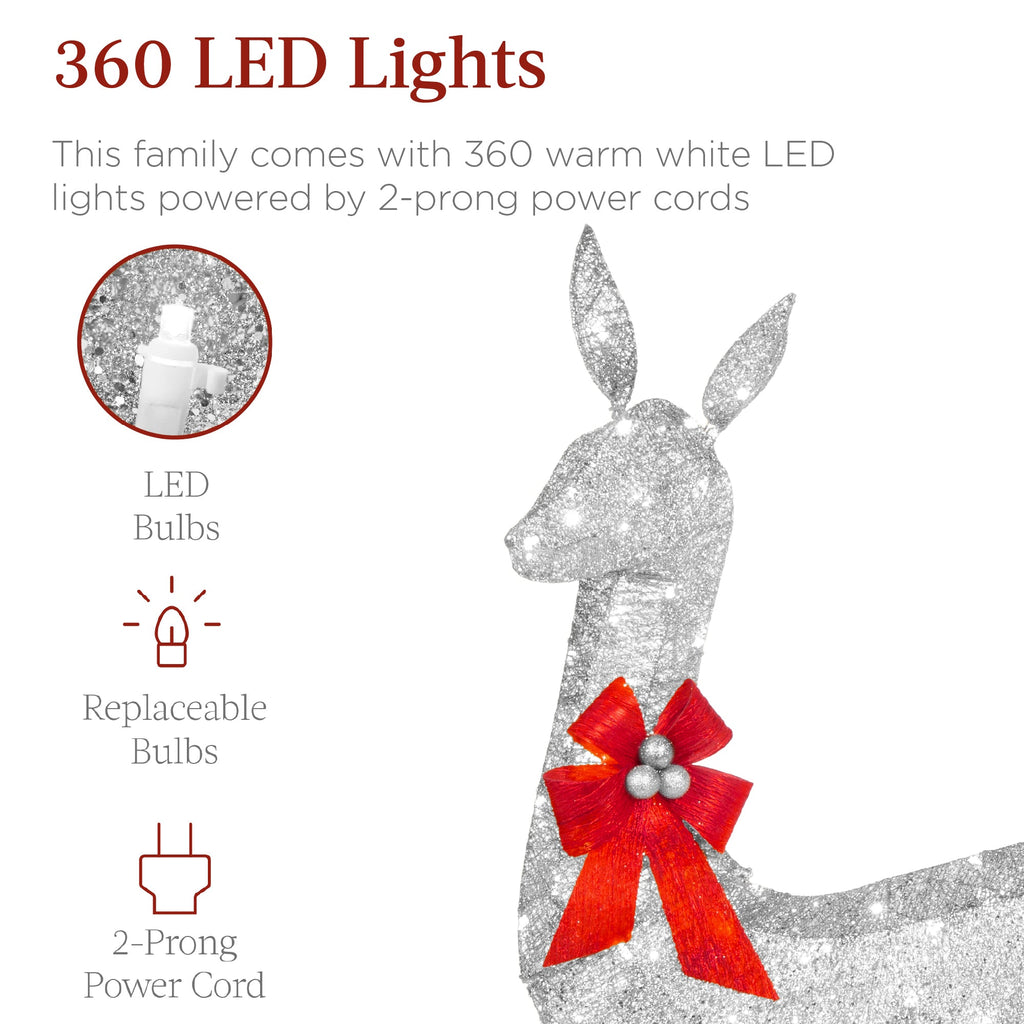 3-Piece Lighted Christmas Deer Set Outdoor Decor with LED Lights